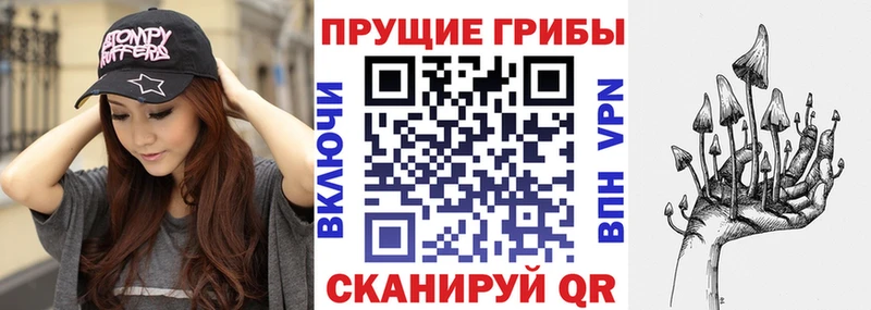где можно купить наркотик  Лыткарино  omg сайт  Псилоцибиновые грибы GOLDEN TEACHER 
